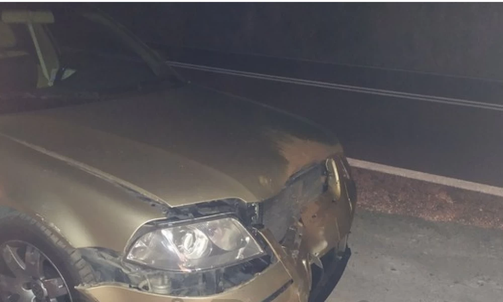 Φθιώτιδα: Απίστευτο τροχαίο λόγω...αγριογούρουνου